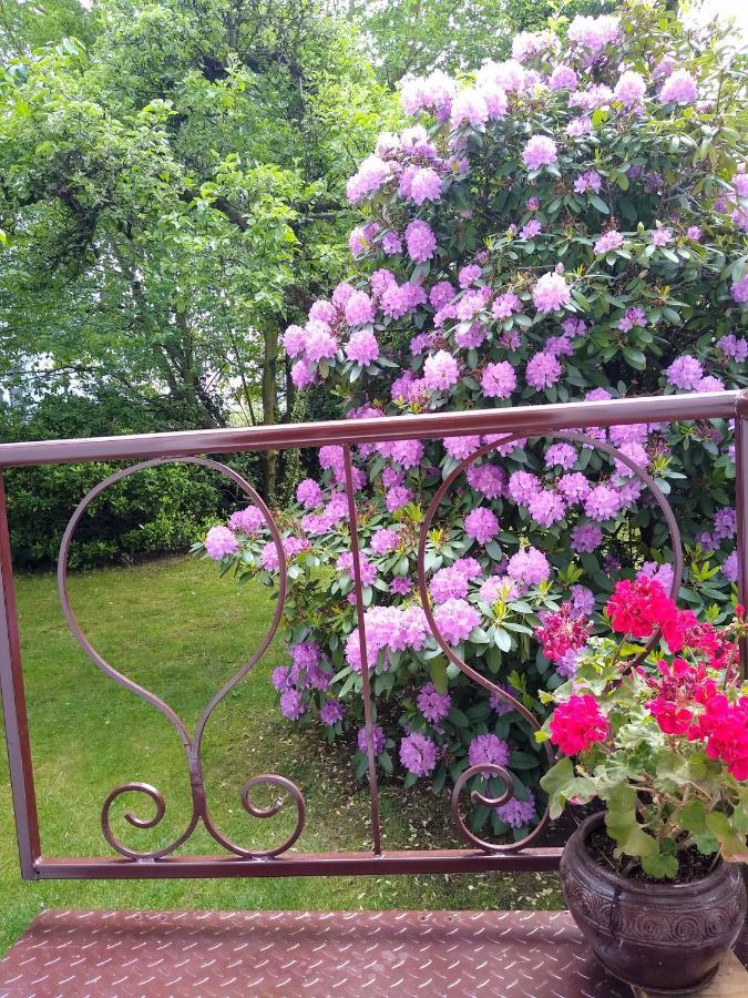 Alster City Garden Villa 함브루크 외부 사진